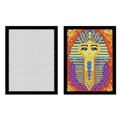 Skorter | 100 QUEST Color