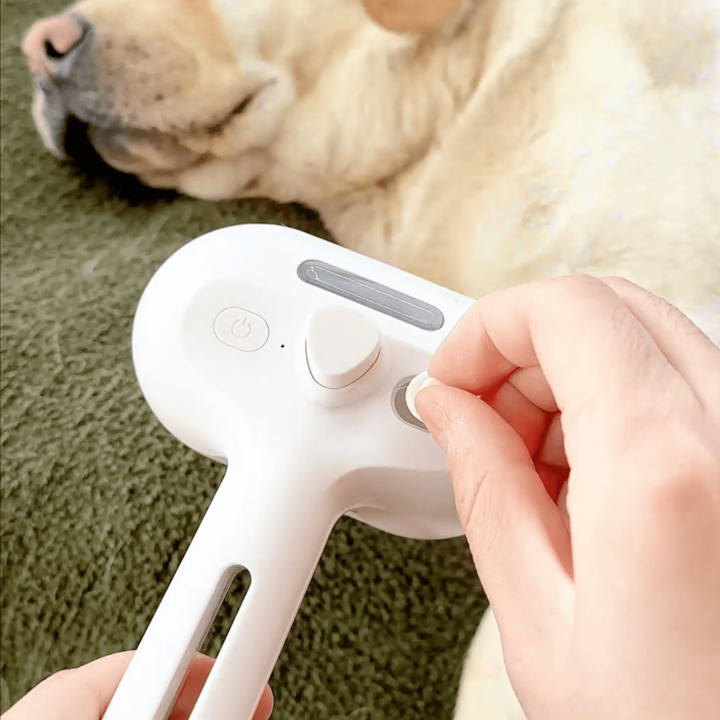 Skorter | DampfVacht Steam Brush – Gentle Care for Every Dog Coat