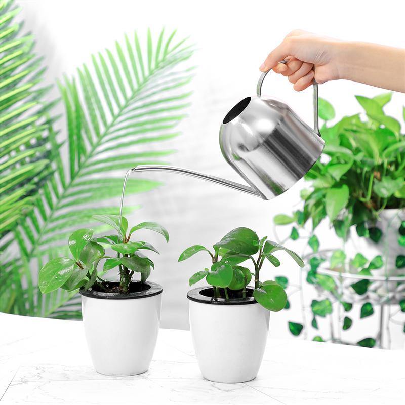 Skorter | AquaGrace Stainless Steel Watering Can with Flexible Neck | Modern Design | Perfect Watering | Rustproof