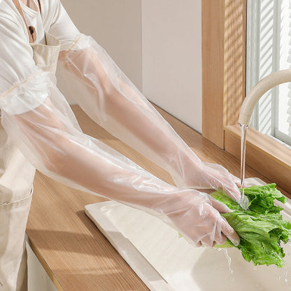 skorter | Disposable Gloves