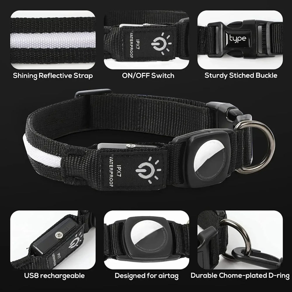 Skorter | Dog Collars – Waterproof LED Light Up Dog Collar with USB Rechargeable Glow, Dog Collars Illuminated for Night Safety, All Sizes