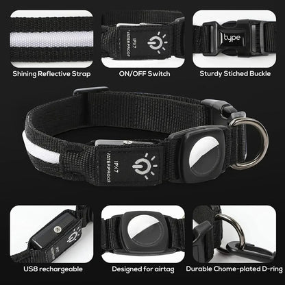 Skorter | Dog Collars – Waterproof LED Light Up Dog Collar with USB Rechargeable Glow, Dog Collars Illuminated for Night Safety, All Sizes