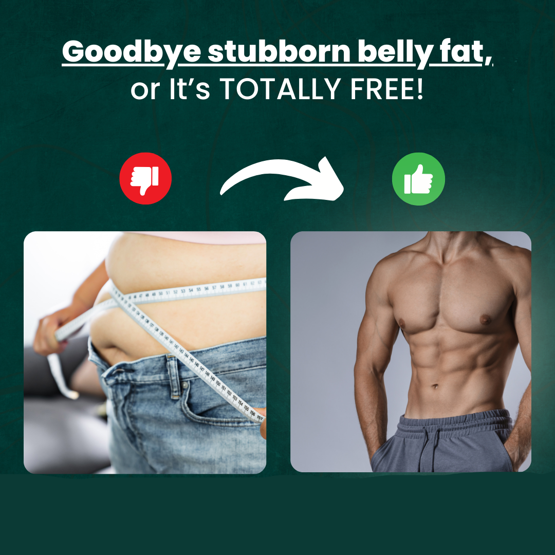 Skorter | Exerciser | Fitness Machine for Muscle Trainer | Equipment for Abs Workouts