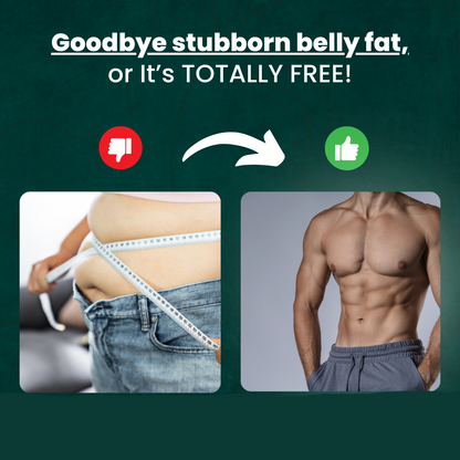 Skorter | Exerciser | Fitness Machine for Muscle Trainer | Equipment for Abs Workouts