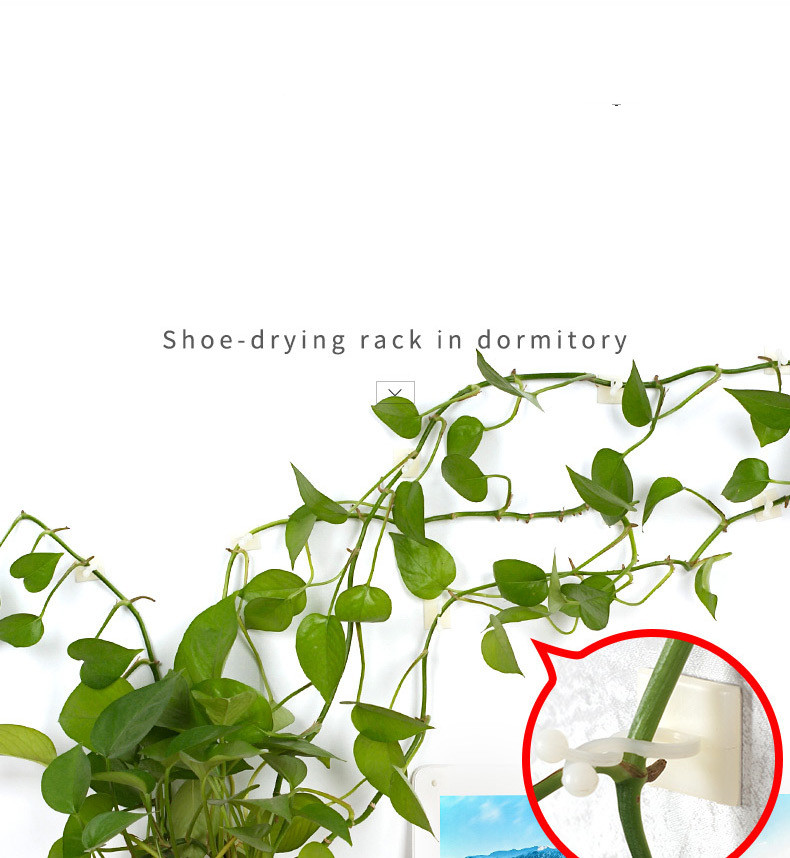 Skorter | Climbing Wall Mounting Clips – Practical Plant Holders for Wall Decoration