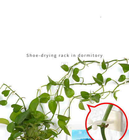 Skorter | Climbing Wall Mounting Clips – Practical Plant Holders for Wall Decoration