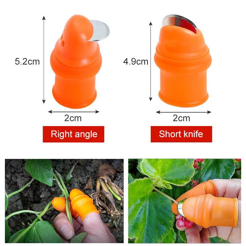 Skorter | (50% Off Today) Harvest vegetables, harvest fruits thumb measure