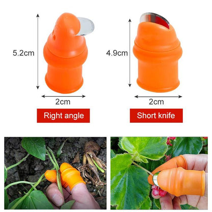 Skorter | (50% Off Today) Harvest vegetables, harvest fruits thumb measure