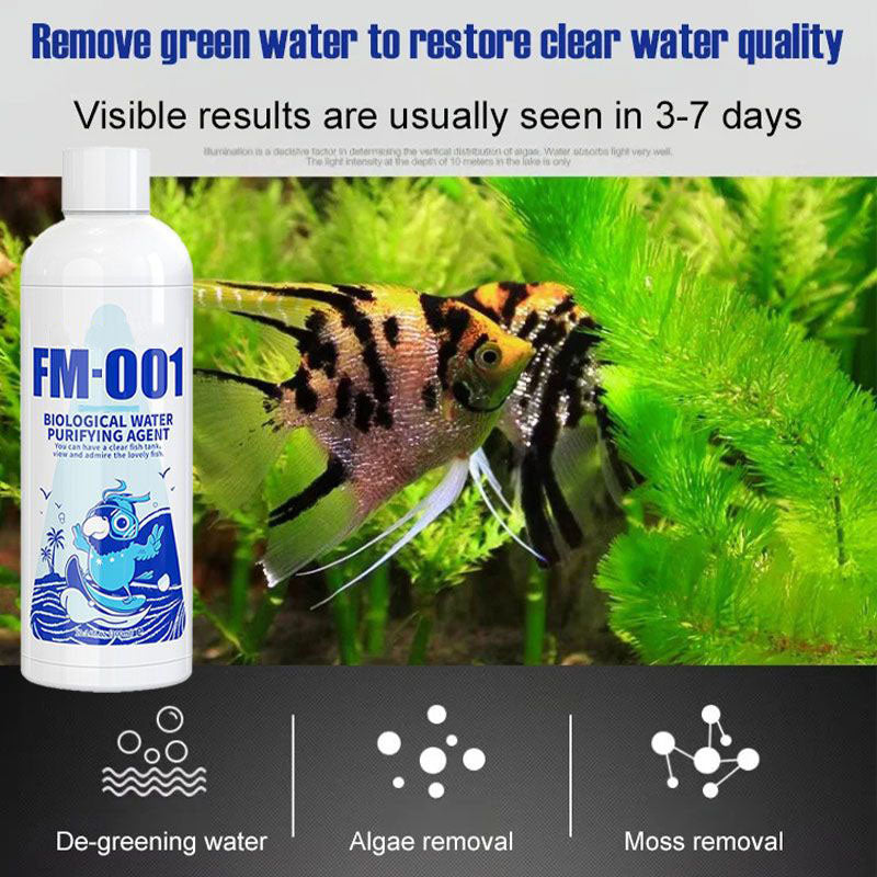Skorter | Fish Tank Water Purifier Algae Remover