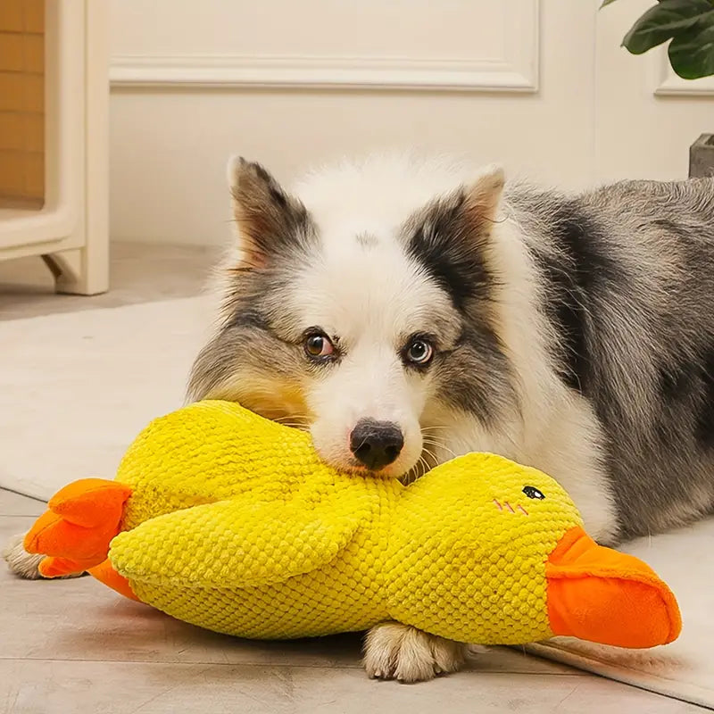 Skorter | Calming Durable Duck