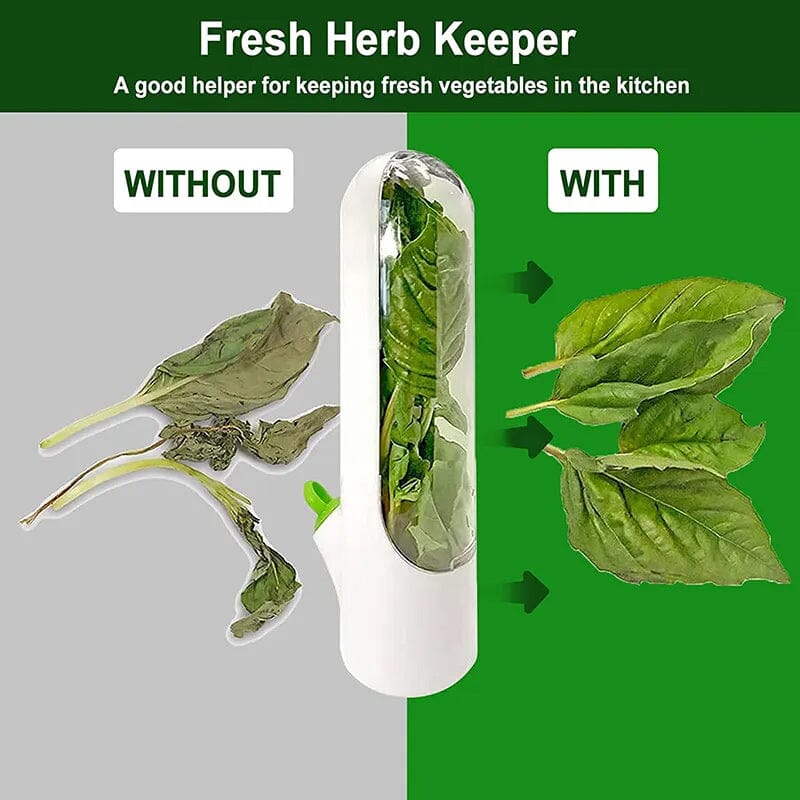 Skorter | Herb Fresh Holder