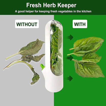 Skorter | Herb Fresh Holder