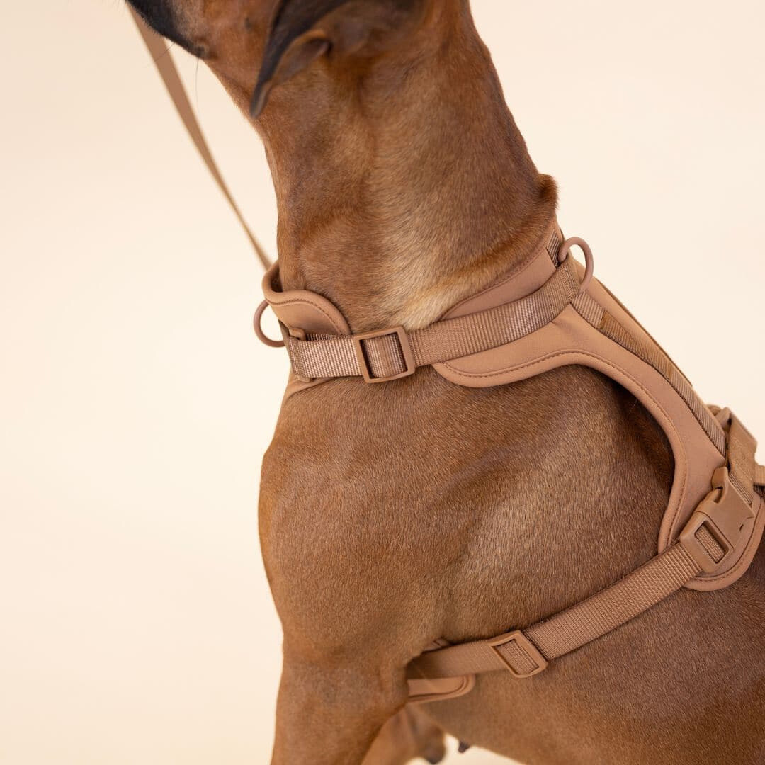 Skorter | ComfyPaws Dog Harness Walking Set with Leash and Poop Bag Holder