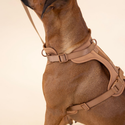 Skorter | ComfyPaws Dog Harness Walking Set with Leash and Poop Bag Holder