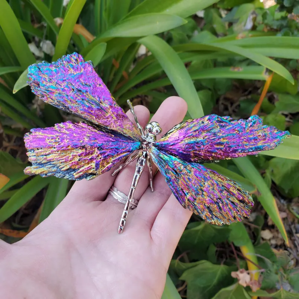 Skorter | Aurora Dragonfly Charm