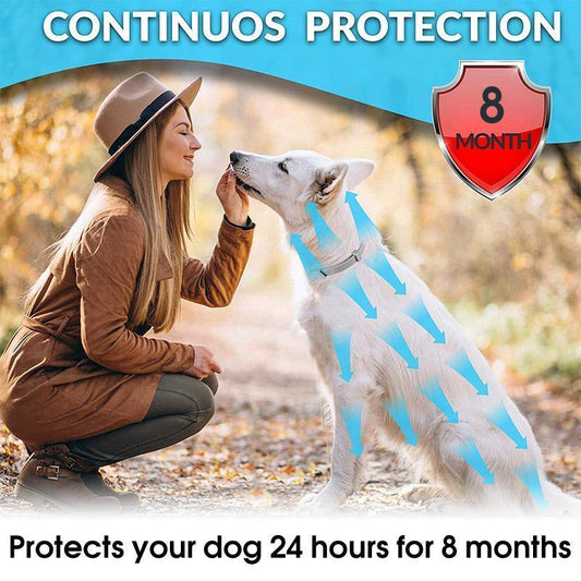 Skorter | Adjustable Insect Defense Collar for Pets