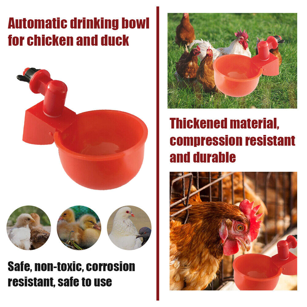 Skorter | Automatic Poultry Drinker
