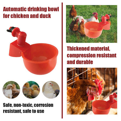 Skorter | Automatic Poultry Drinker