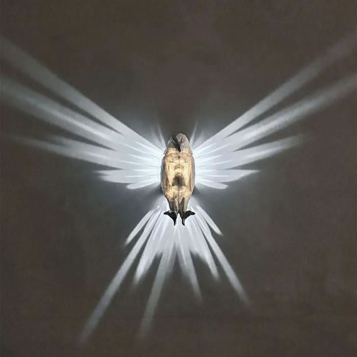 Skorter | 3d Animals | Led Wall Light