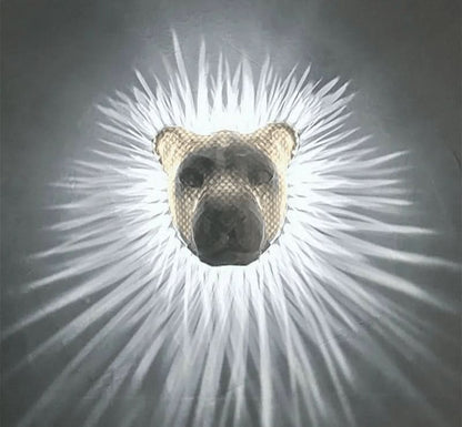 Skorter | 3d Animals | Led Wall Light
