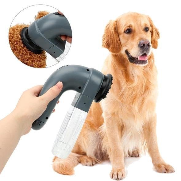 Skorter | Best handheld vacuum for pet hair
