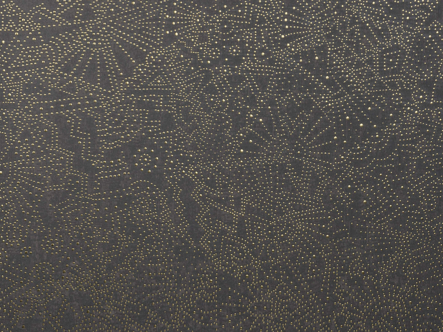 Skorter | Kharga Gobi – 74030