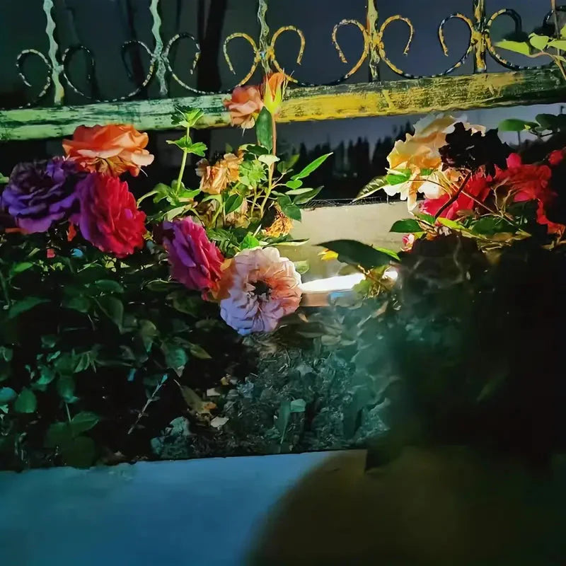 Skorter | 4-Pack: Waterproof Solar Garden Lights