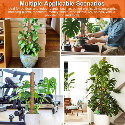 Skorter | 4-Pieces: Coco Coir Expandable Moss Pole for Climbing Plants