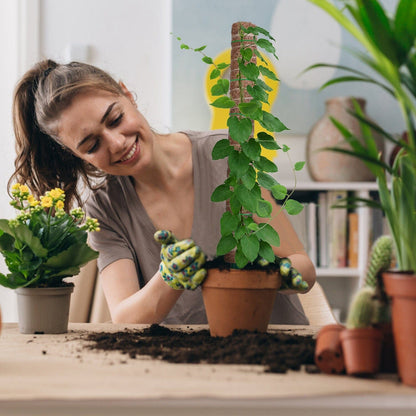 Skorter | 4-Pieces: Coco Coir Expandable Moss Pole for Climbing Plants