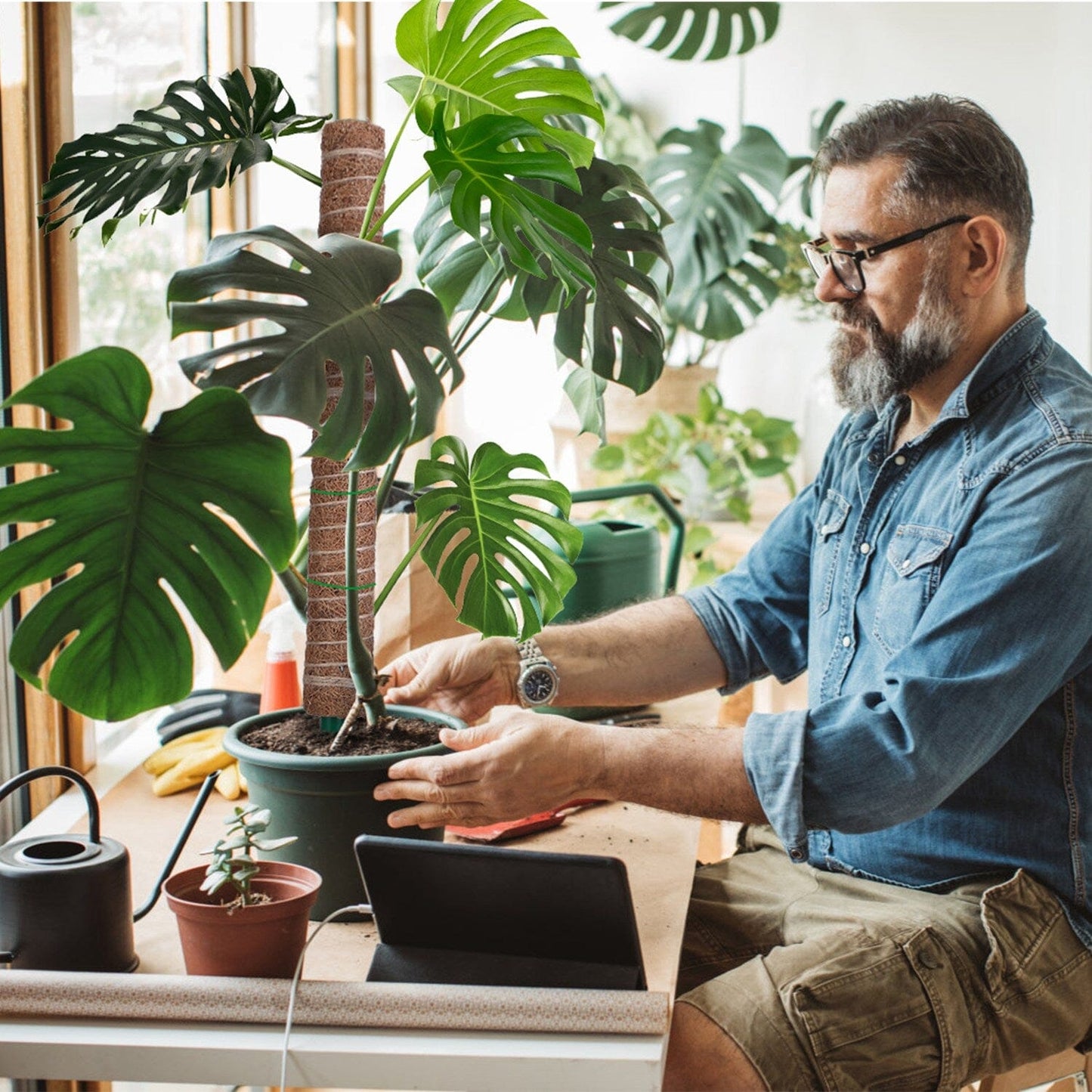 Skorter | 4-Pieces: Coco Coir Expandable Moss Pole for Climbing Plants