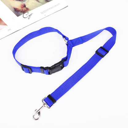 Skorter | Adjustable Car Dog Leash