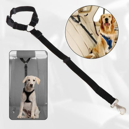 Skorter | Adjustable Car Dog Leash