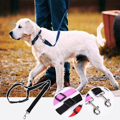 Skorter | Adjustable Car Dog Leash