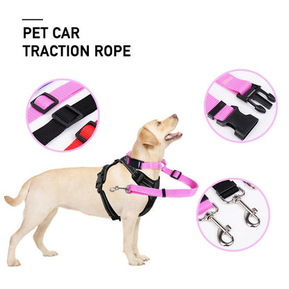 Skorter | Adjustable Car Dog Leash