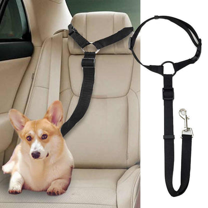 Skorter | Adjustable Car Dog Leash
