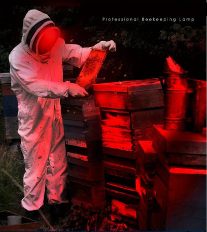 Skorter | Rechargeable LED Headlamp with White, Red, and Green Light – Powerful Headlamp with USB and Battery