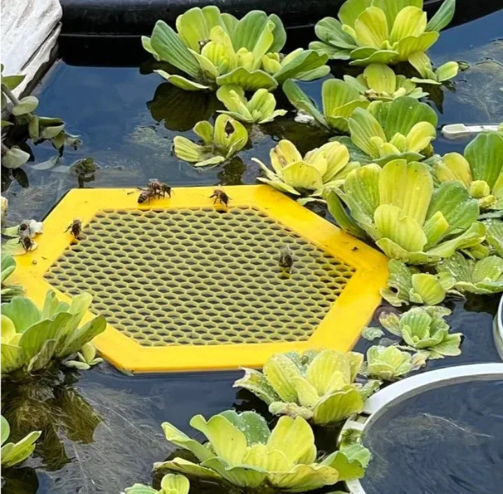 Skorter | Floating Bee Island - Bee Waterer