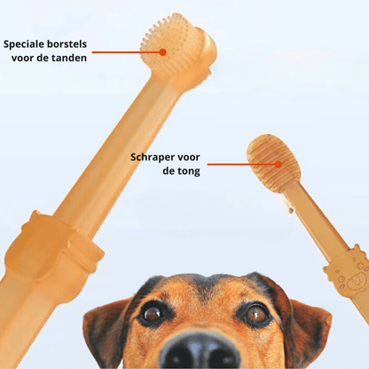 Skorter | DOGGYDENT – Silicone finger toothbrush for gentle dental care for dogs & cats