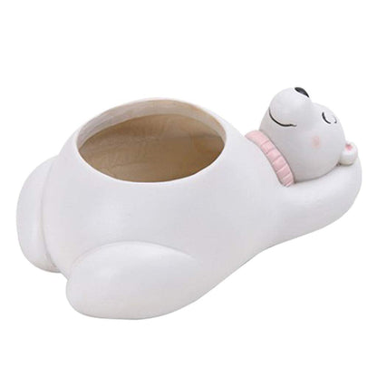 Skorter | Animal Plant Pots – Funny Animal Designs for Succulents and Cacti