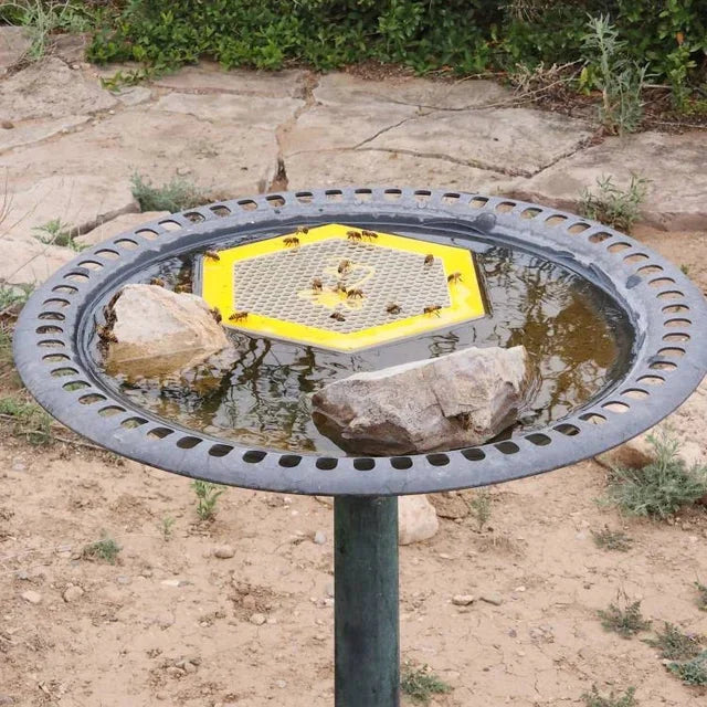 Skorter | Floating Bee Island - Bee Waterer