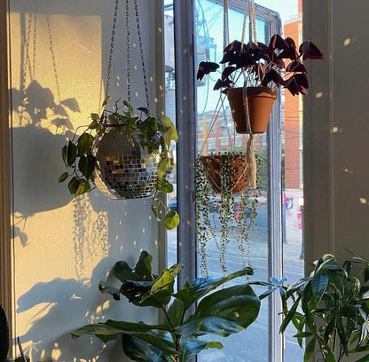 Skorter | Disco Ball Hanging Planter