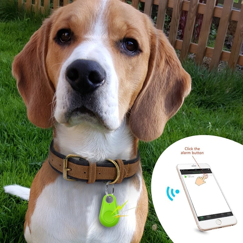 Skorter | Bluetooth and GPS Pet Wireless Tracker