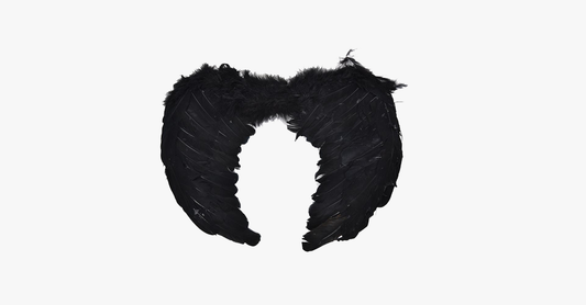 Skorter | Angel Wings Halloween Costume