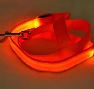 Skorter | Leash for dogs glow in the dark