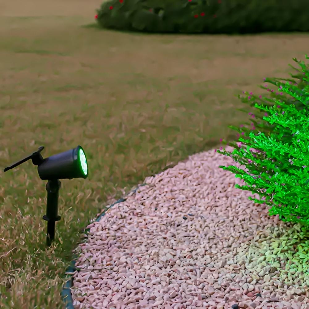 Skorter | Power Glow Solar Light