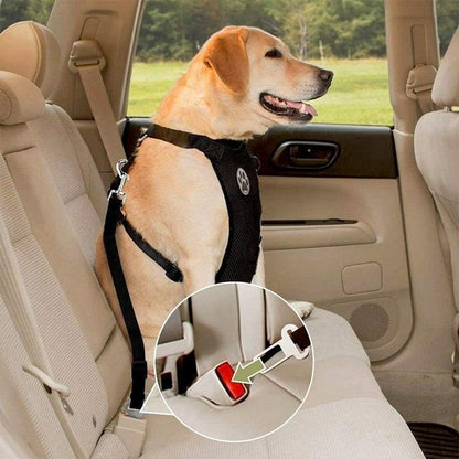 Skorter | Dog Safety Harness Set