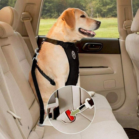 Skorter | Dog Safety Harness Set