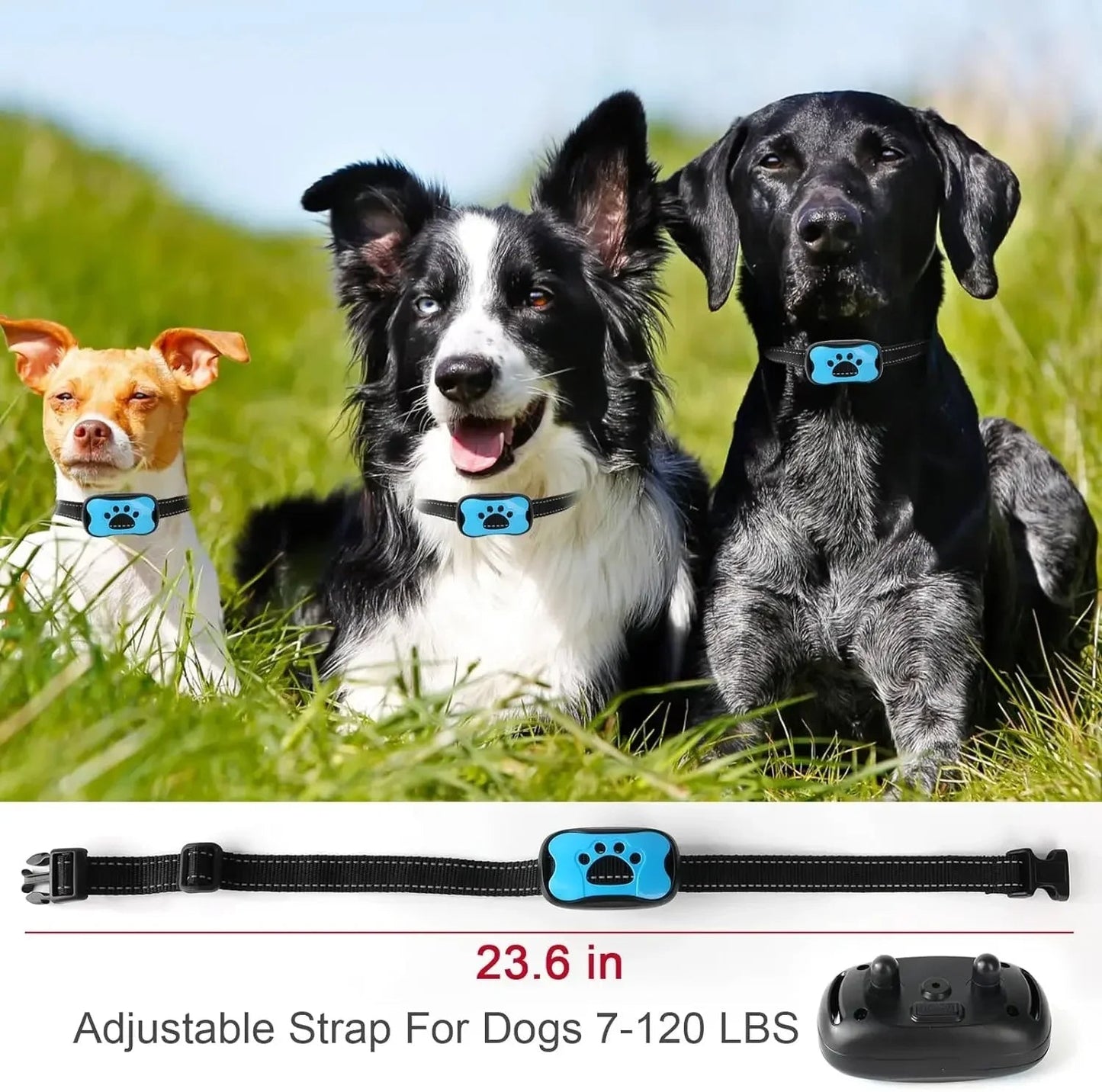 Skorter | Anti-Bark Dog Collar – Stop Unwanted Barking with the BarkBuddy Vibration Training Collar for Dogs