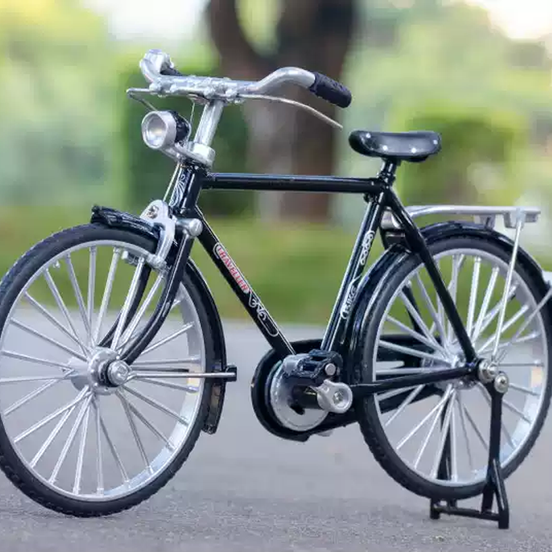 Skorter | Bicycle model