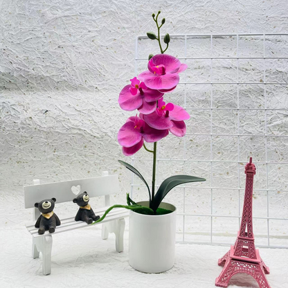 Skorter | Artificial Orchid Flower – Decorative Artificial Plant for Living Room and Table Decoration